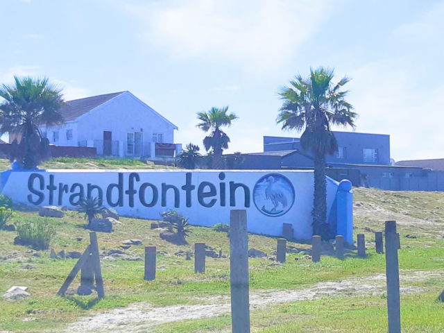 Which Cape Flats Suburb Is The Safest?